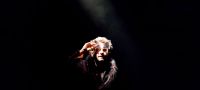 M (Matthieu Chedid) - Francos 2013