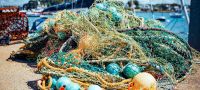 Filets de pêche - La Trinité sur Mer