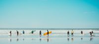 Surf en Bretagne (#OceanSide #OceanView)